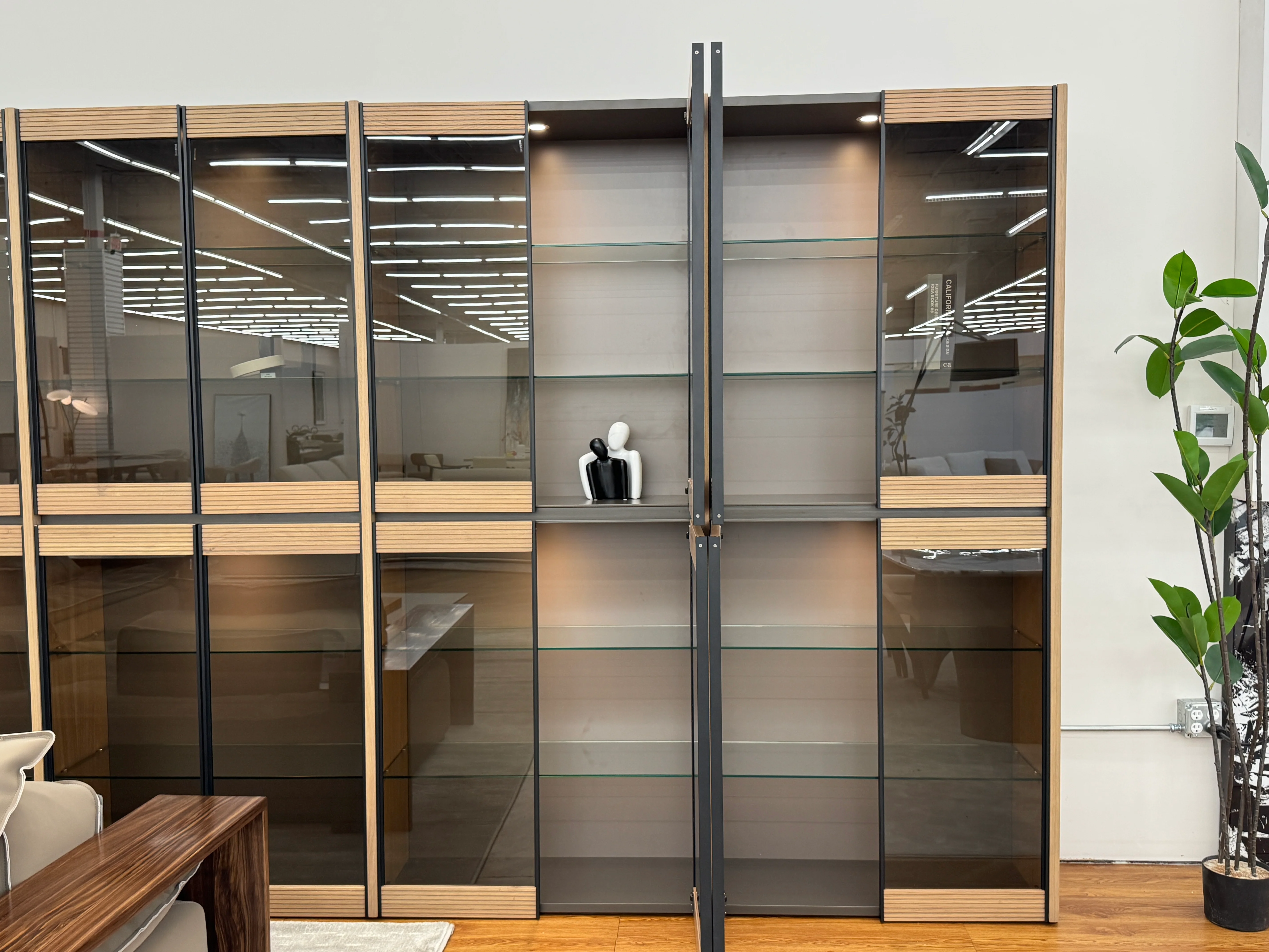 Hermosa Glass Cabinet - Image 5